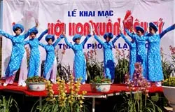Đà lạt: khai mạc hội hoa xuân mậu tý 2008